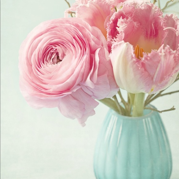 Meet your Posher, Tammy - Picture 1 of 1